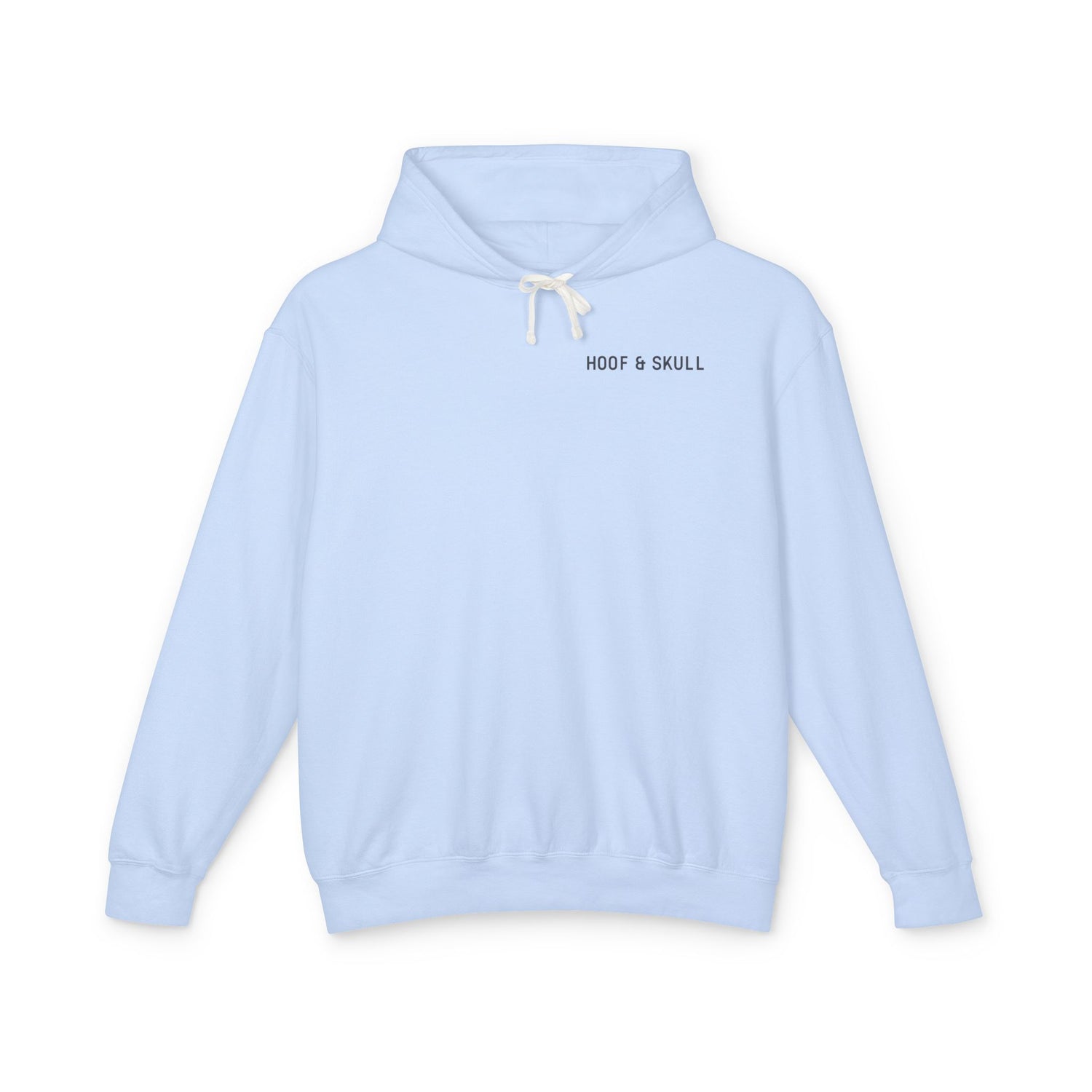 Clean Medicine Dirty Places Lightweight Hoodie