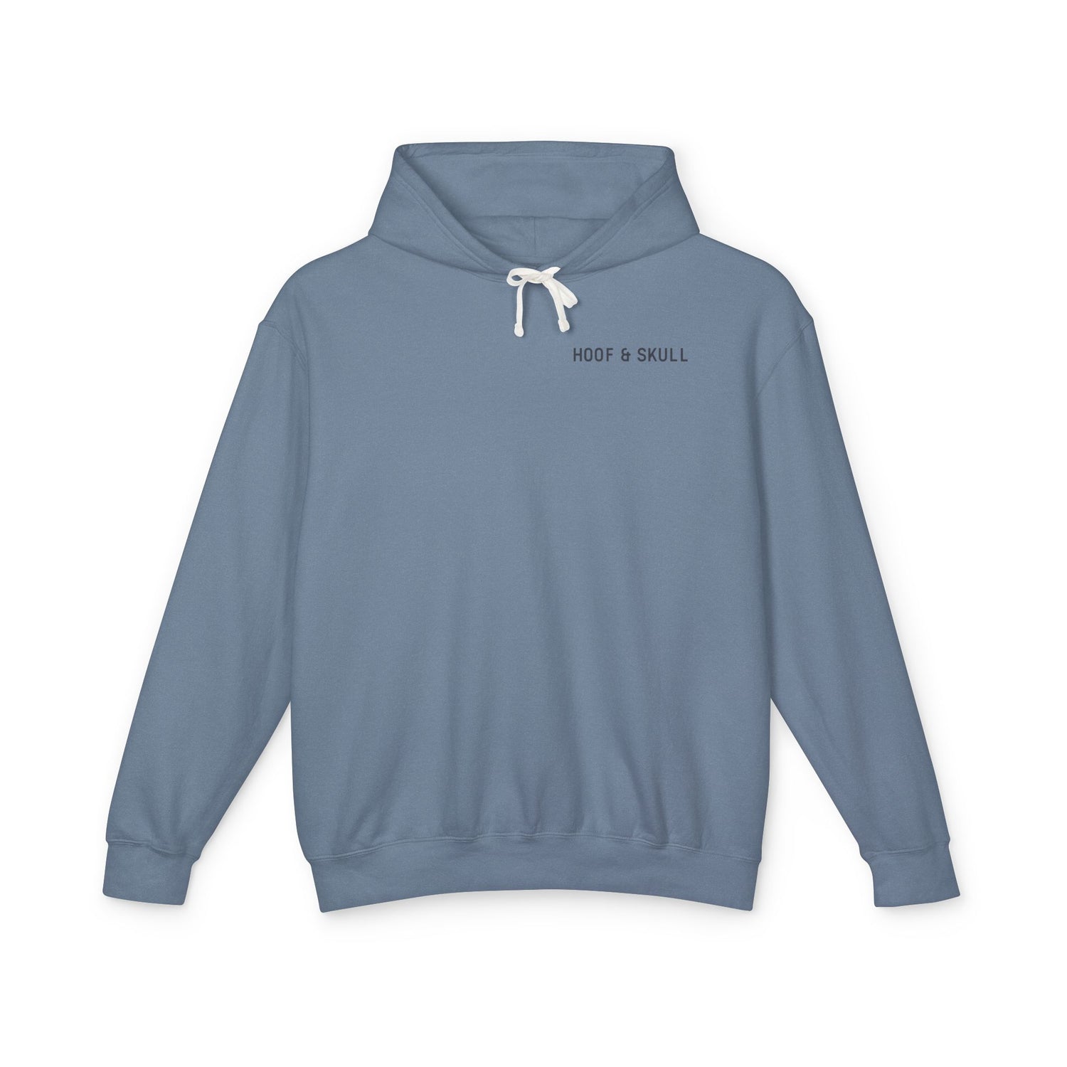 Clean Medicine Dirty Places Lightweight Hoodie