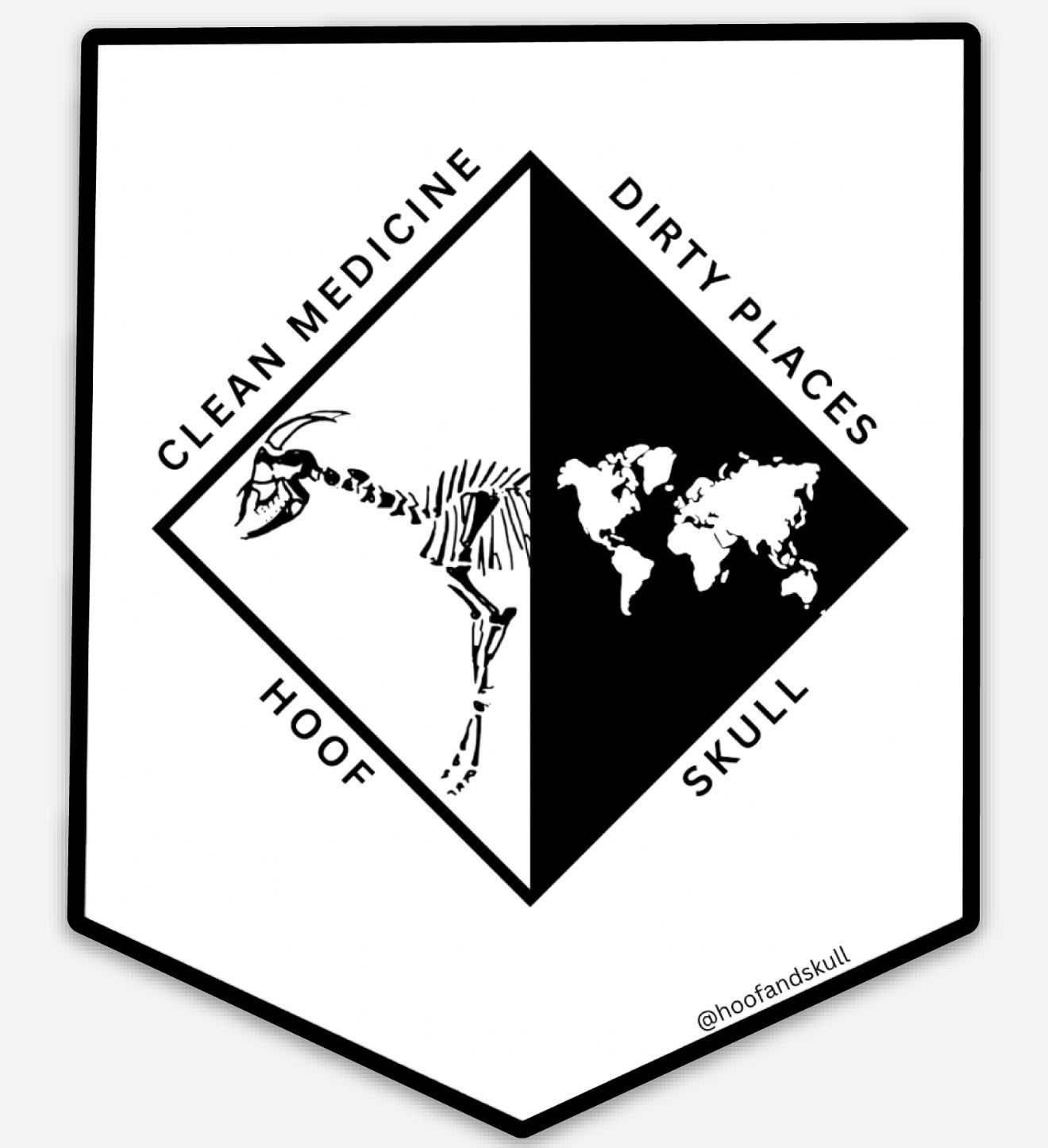 Clean Medicine Dirty Places Sticker