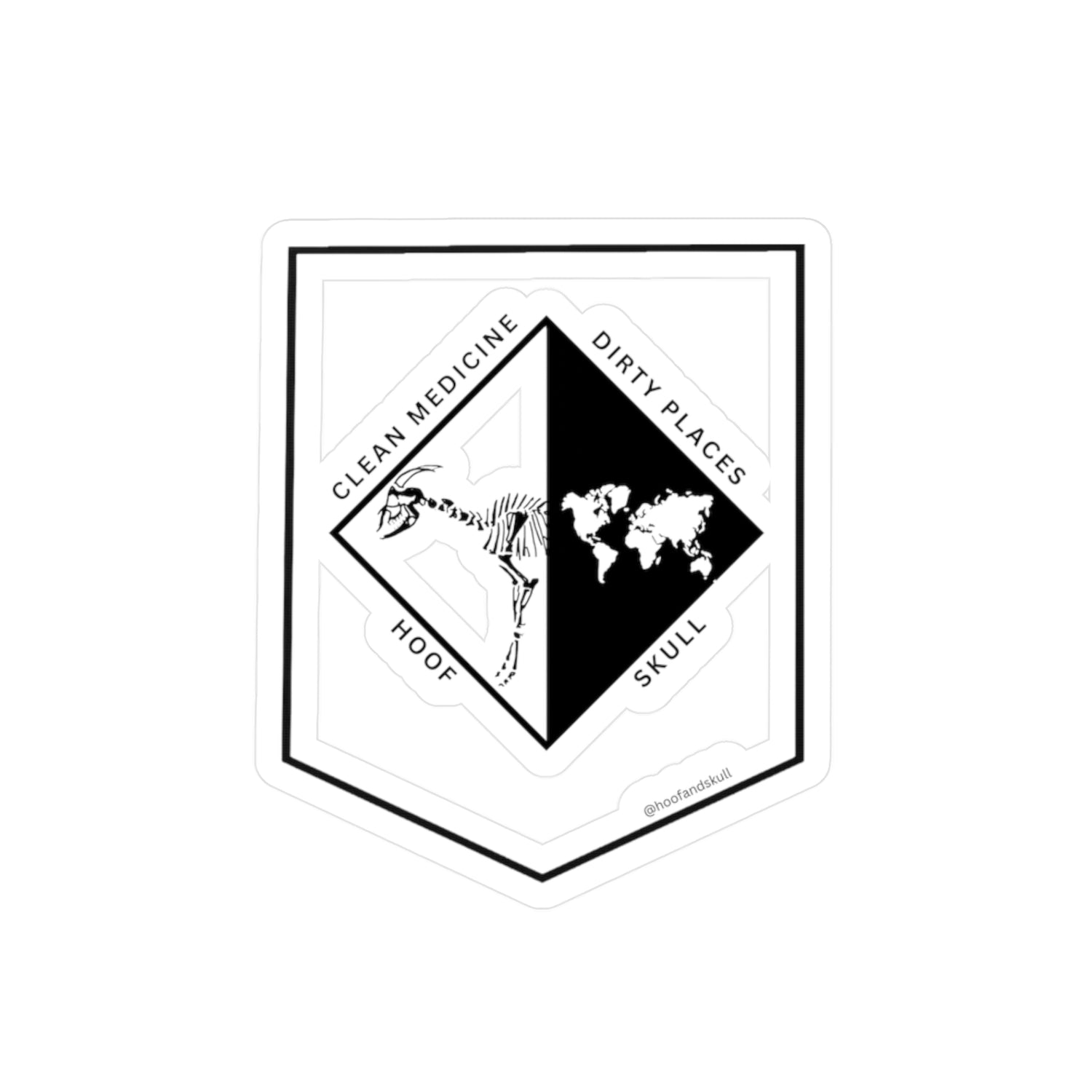 Clean Medicine Dirty Places  Vinyl Sticker