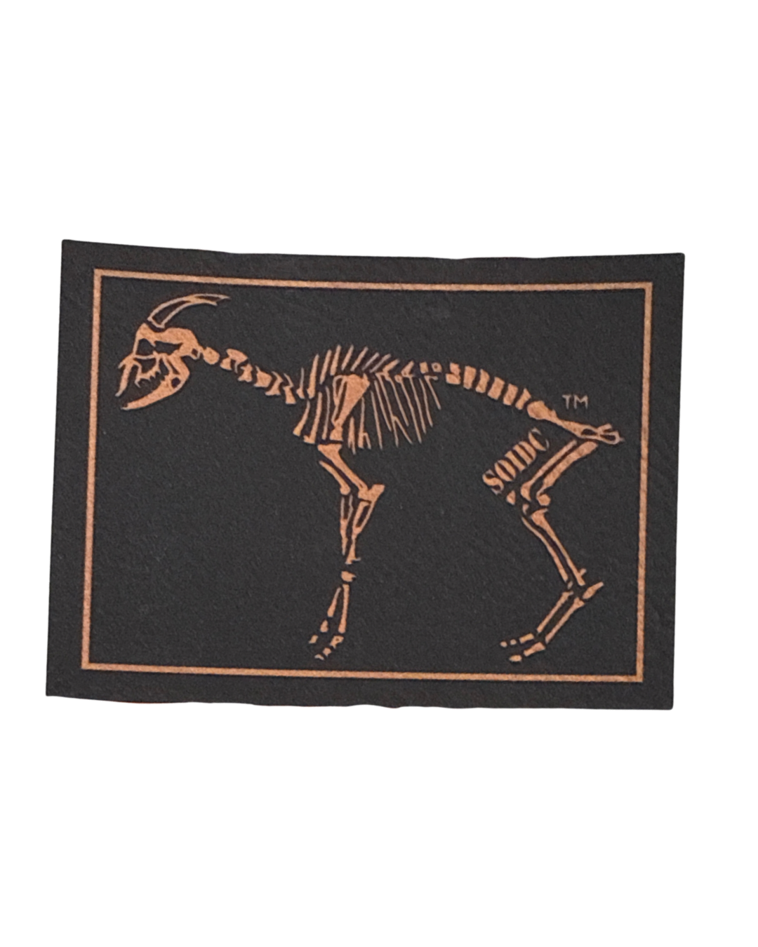 SOIDC BoneGoat Plate Carrier Patch